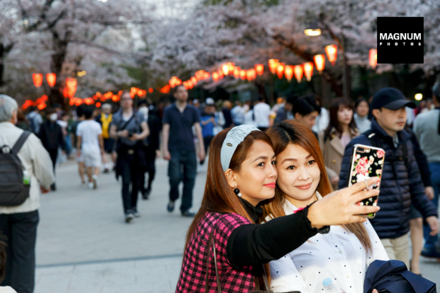 Death by Selfie photograph 3