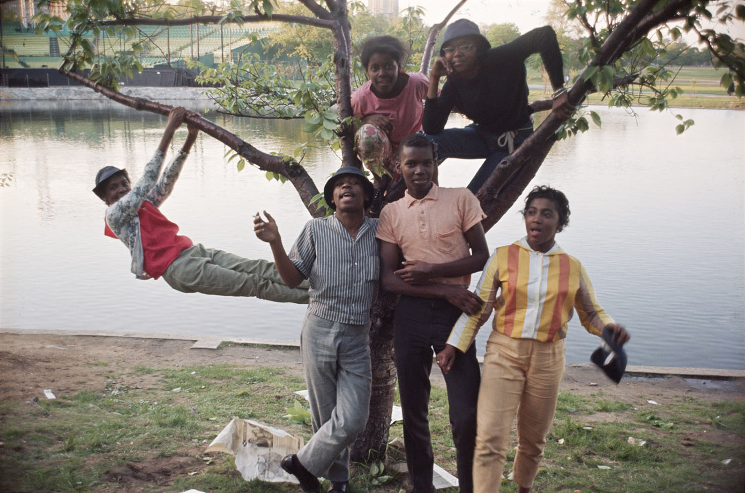 乔尔·梅耶罗维茨的摄影作品