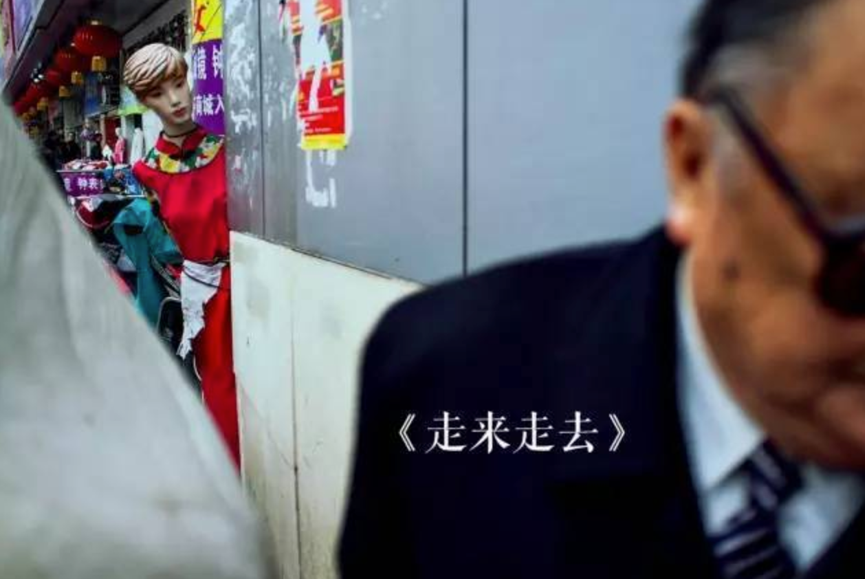 劉涛のユーモア写真 3