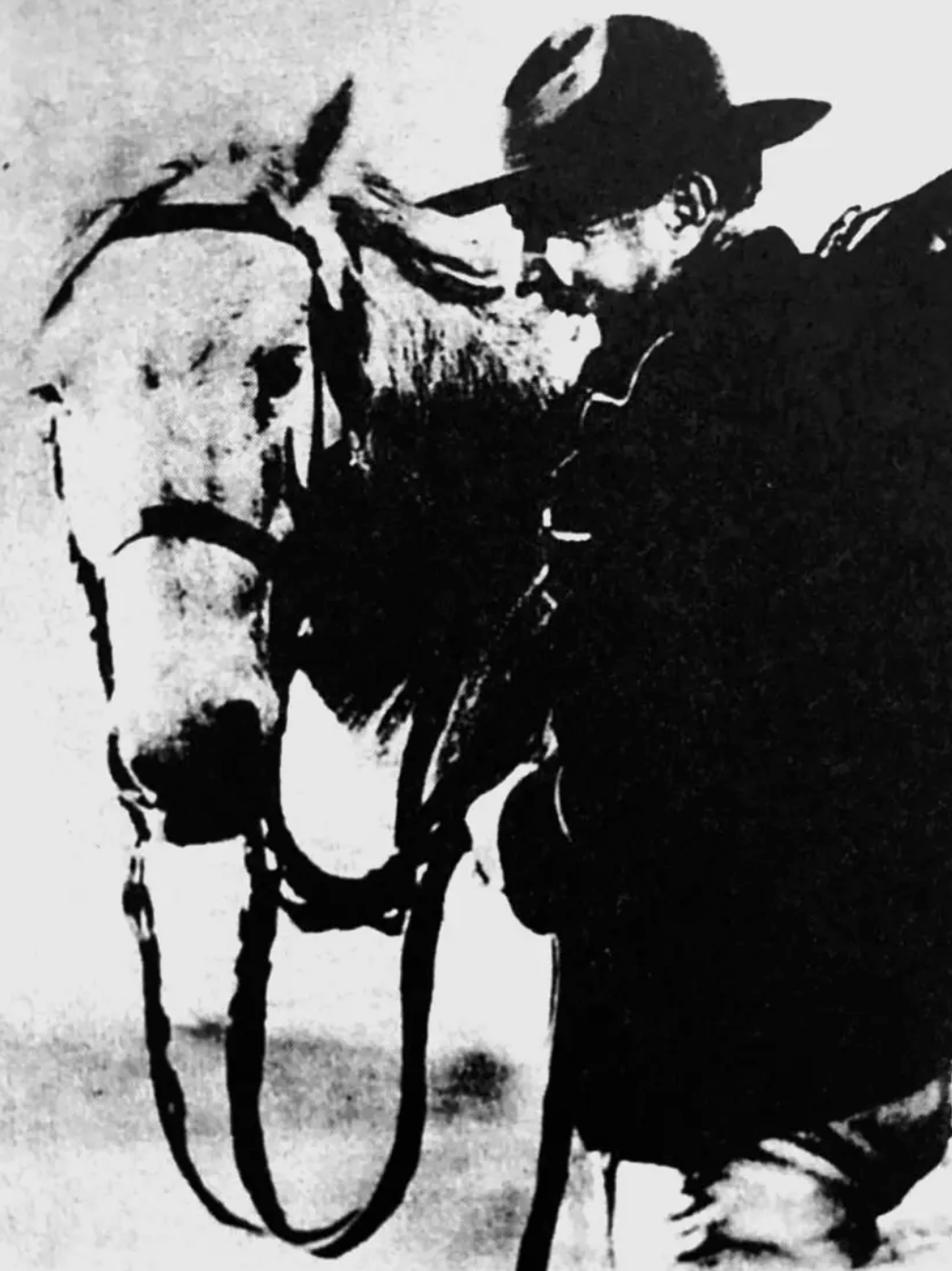 『写真の読み方』に掲載された画像