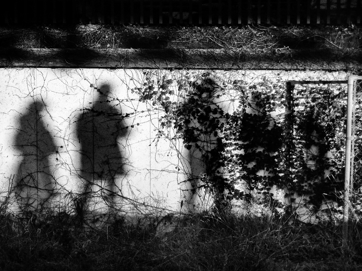 An image from a Record photobook, four