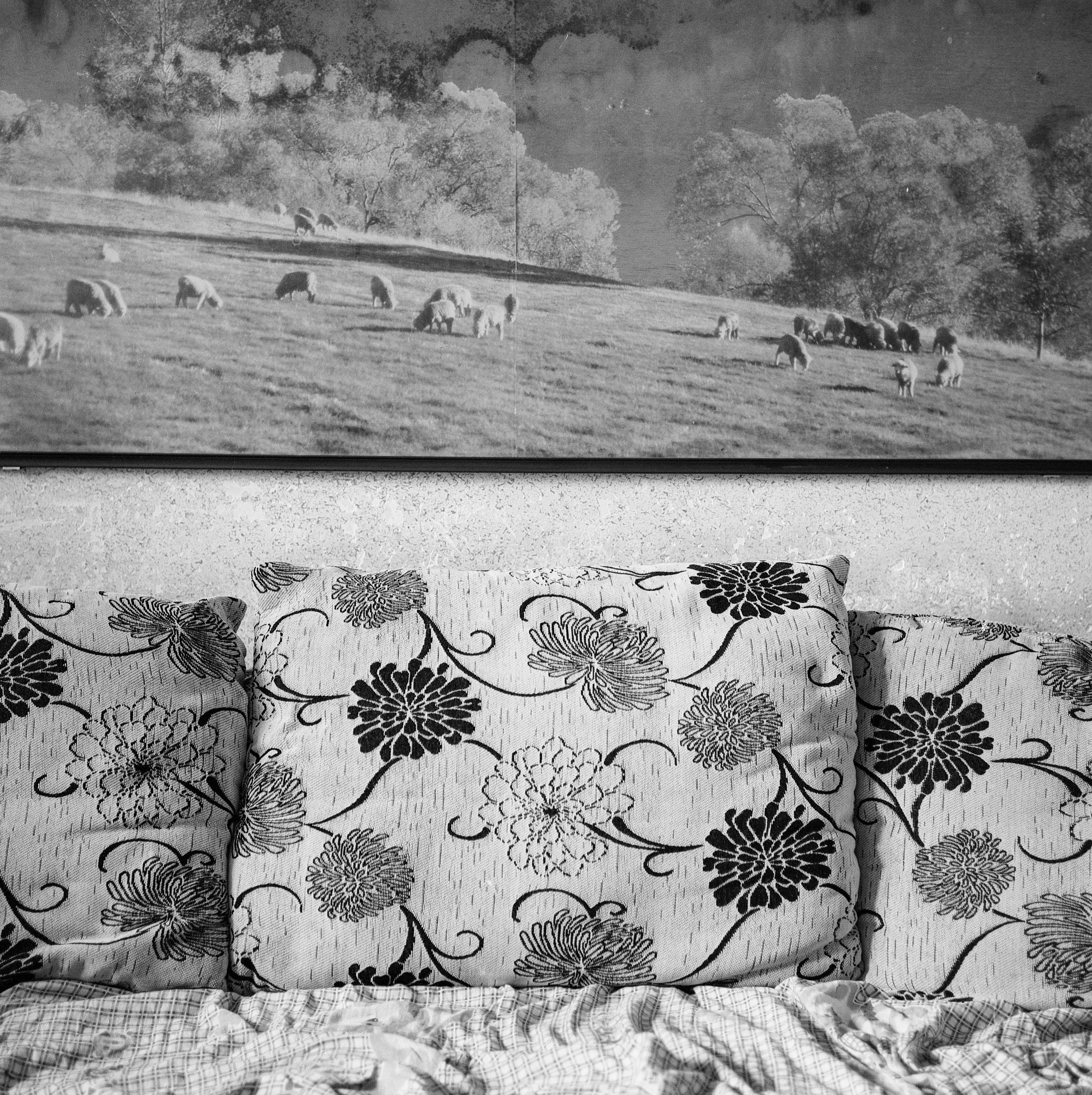 From The Lost Marriage, 1